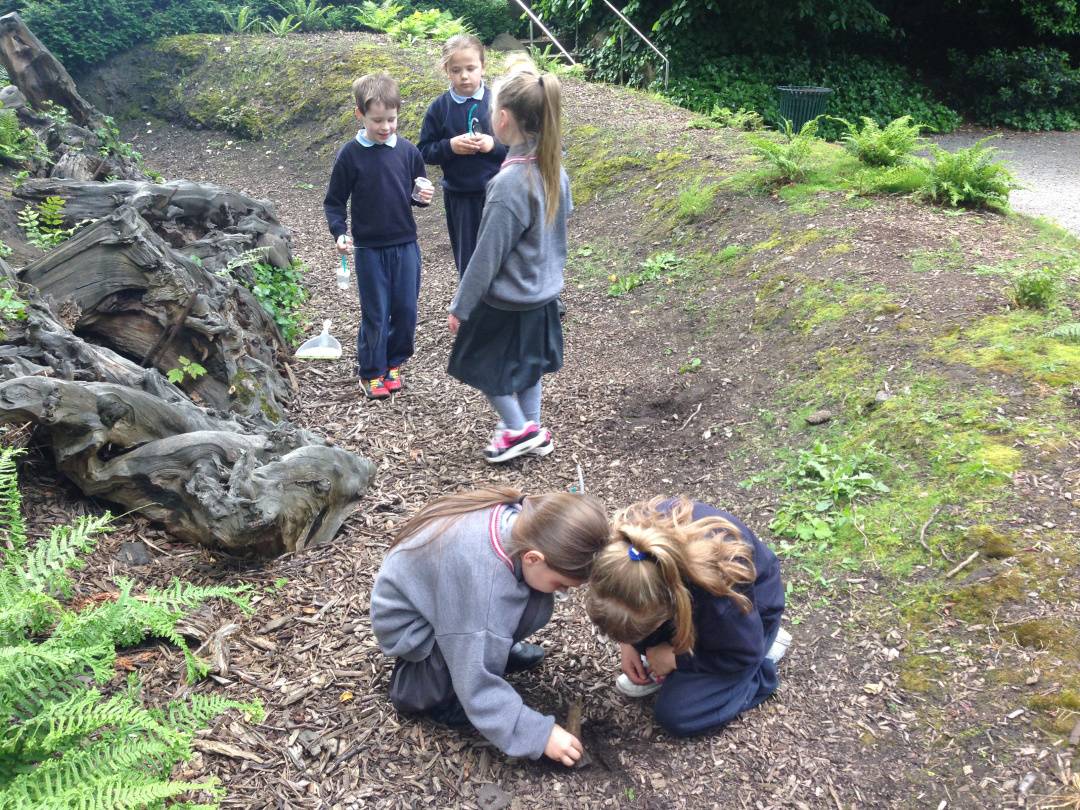 Photograph of children from St Enda’s Primary School, Whitefriar St, Dublin 8, visiting the Gardens in June 2014, used with permission.